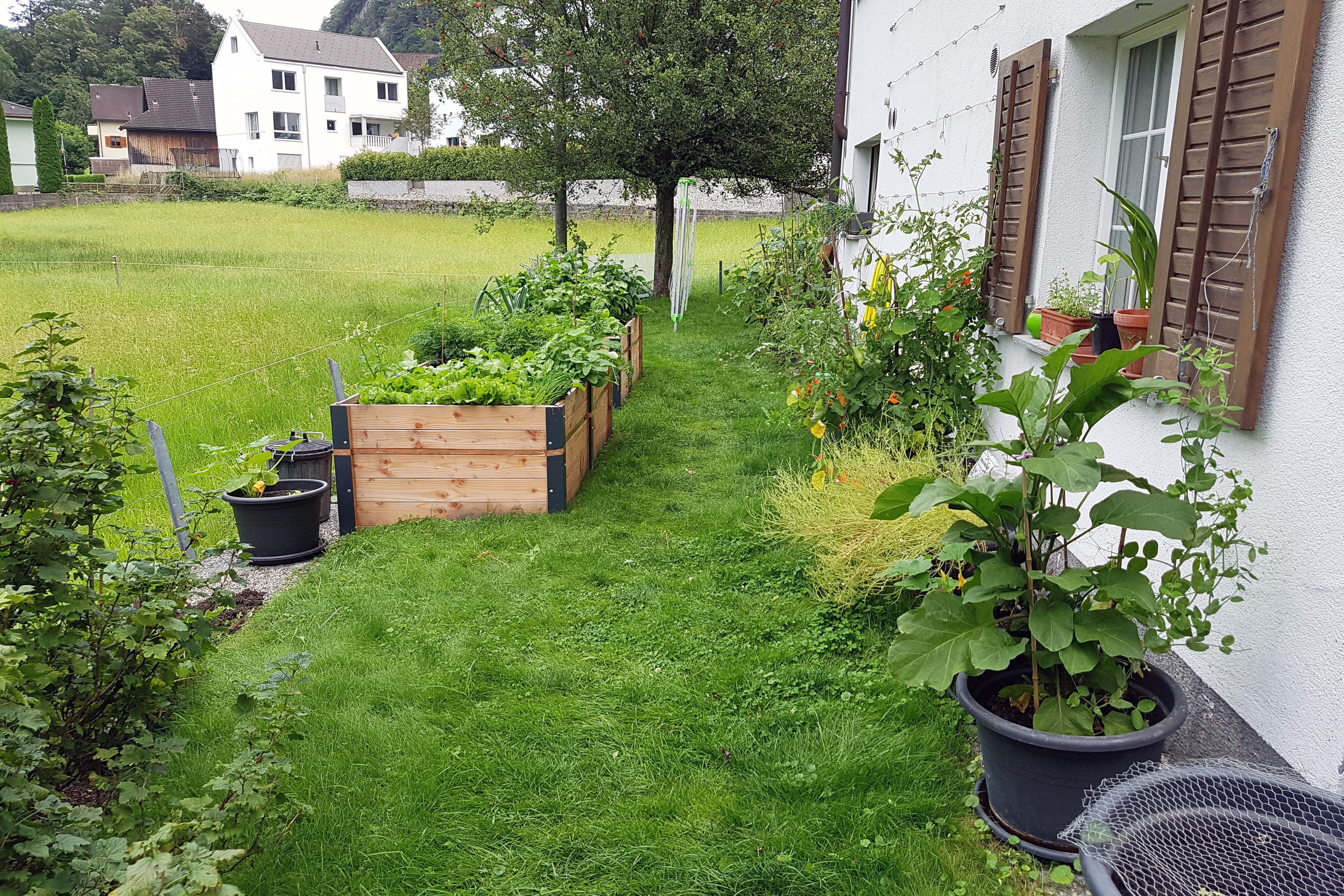 Neugestaltung des privaten Gartens bei einem Einfamilienhaus